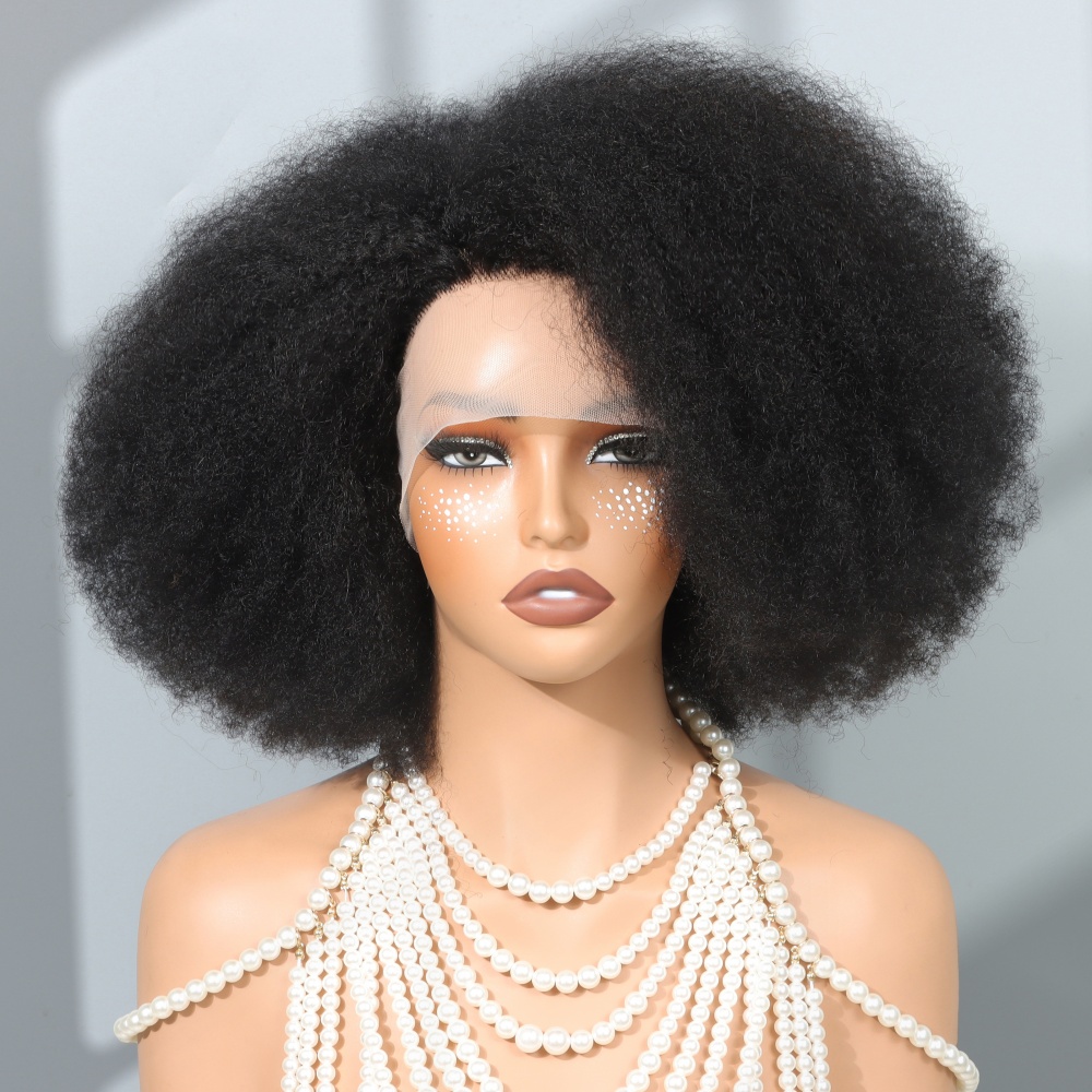 14 Inch Afro Wigs for Black Wo - đánh giá và giá Glueless Wear And Go Human Hair Wig