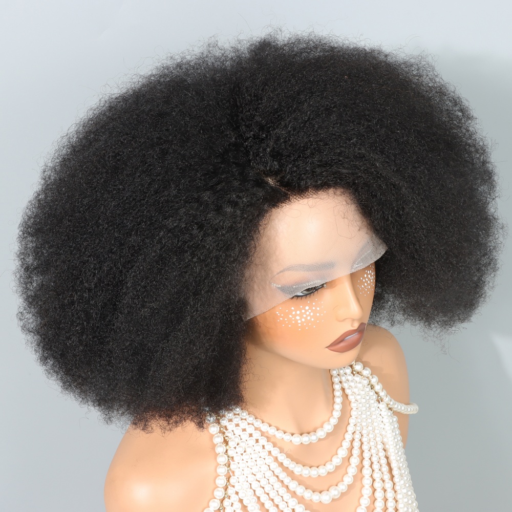 14 Inch Afro Wigs for Black Wo - đánh giá và giá Glueless Wear And Go Human Hair Wig