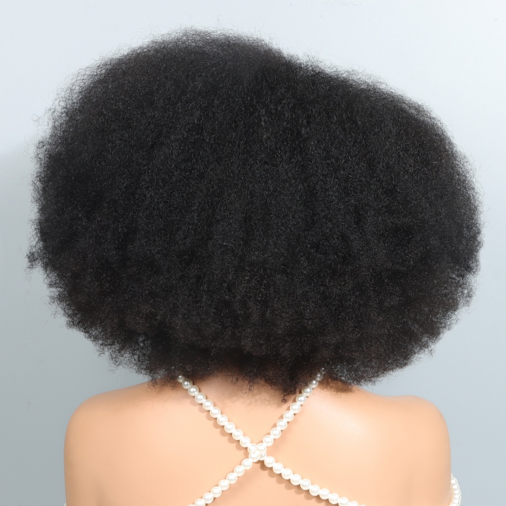 14 Inch Afro Wigs for Black Wo - đánh giá và giá Glueless Wear And Go Human Hair Wig
